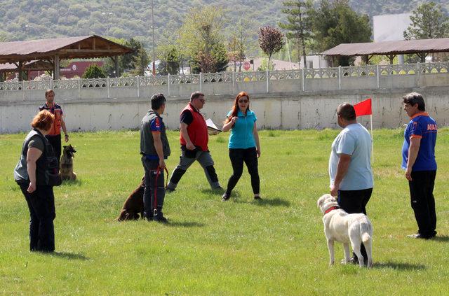 Arama kurtarma köpekleri eğitimden geçiriliyor