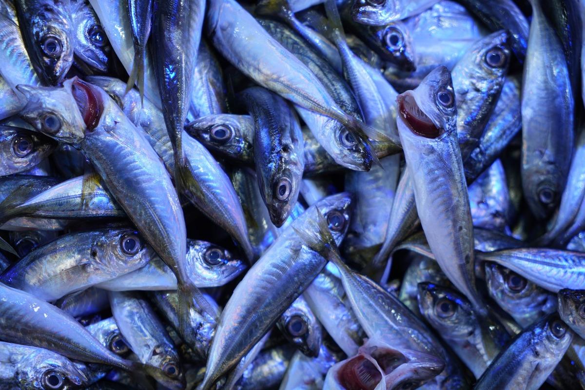 Kilosu 70 TL ye düştü: Az bir süre kaldı, artık olmayacak 4