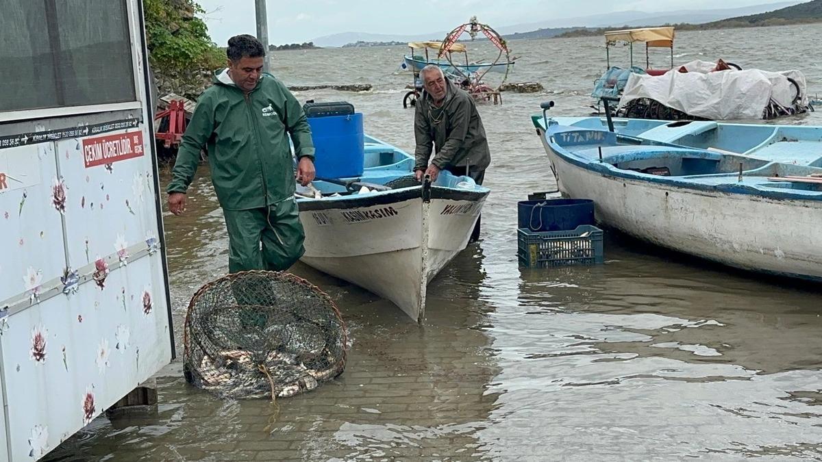 Talep &ccedil;ok, kilosu 600 TL oldu:  G&uuml;nde 50 kg ancak &ccedil;ıkıyor, herkes almaya &ccedil;alışıyor  1