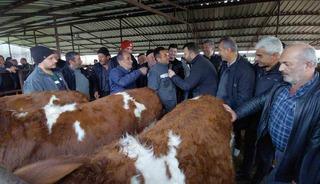 Bolu&rsquo;da kurban pazarlarında hareketlilik başladı