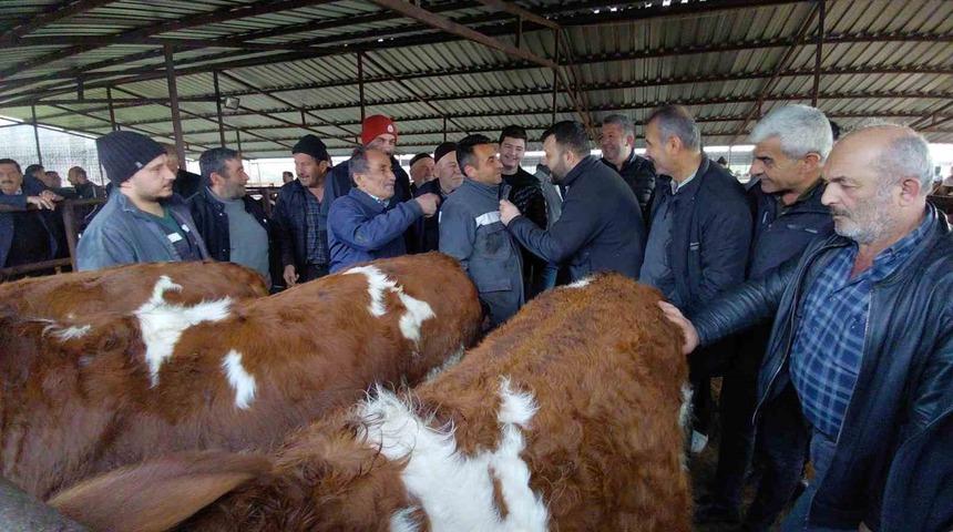 Bolu&rsquo;da kurban pazarlarında hareketlilik başladı