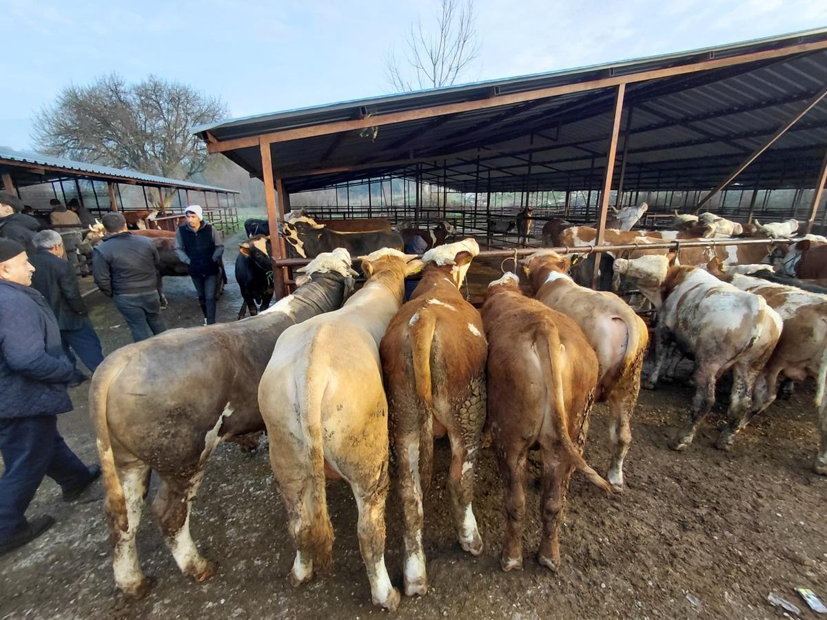 Yoğunluk başladı! Pazarlık yapmadan alan yok: Onlara emanet ediyorlar 1