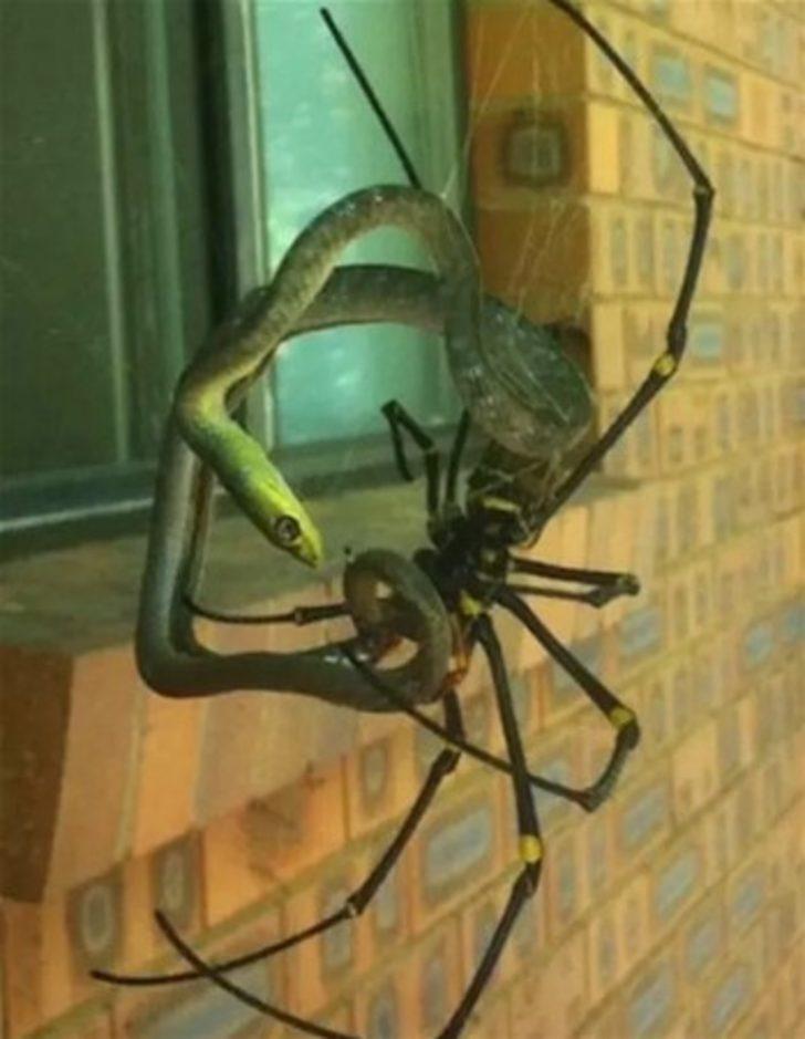 İçinizi ürpertecek fotoğraflar  G3