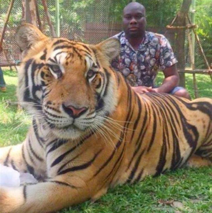 'Kara Kıta'nın zengin çocukları G1