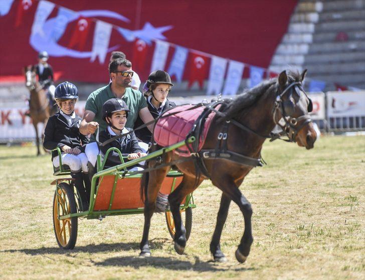 Binicilik: Engel Atlama Anadolu Ligi G3