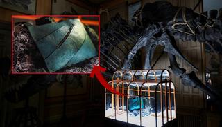 D&uuml;nyanın ilk dinozor derisi &ccedil;antası: Fiyatı dudak u&ccedil;uklattı