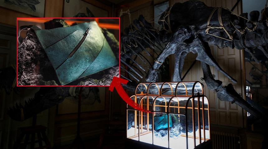 Fosilden &ccedil;antaya: D&uuml;nyanın ilk dinozor derisi &ccedil;antası tanıtıldı! Fiyatı dudak u&ccedil;uklattı