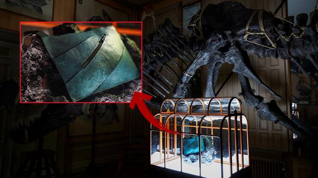 Fosilden çantaya: Dünyanın ilk dinozor derisi çantası tanıtıldı! Fiyatı dudak uçuklattı