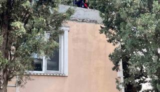 Defne&rsquo;de ağa&ccedil;ta mahsur kalan kediyi itfaiye kurtardı