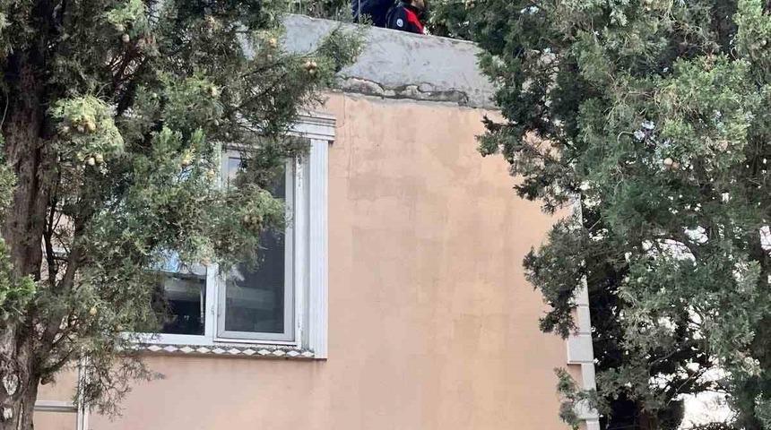 Defne&rsquo;de ağa&ccedil;ta mahsur kalan kediyi itfaiye kurtardı