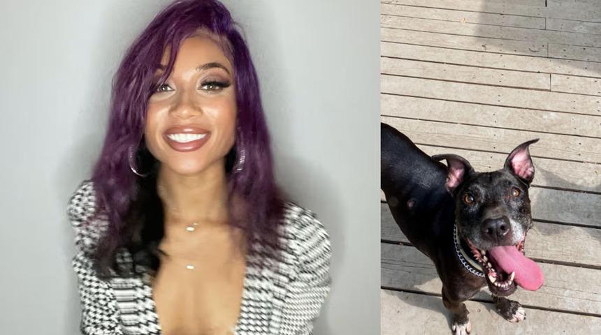 Sosyal medyada tepki yağdı: &Ouml;len k&ouml;peğini dondurdu!