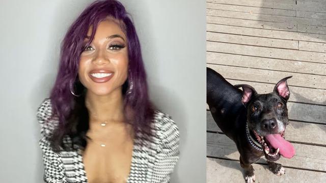 Sosyal medyada tepki yağdı: Ölen köpeğini dondurdu!