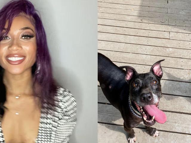 Sosyal medya bunu konuşuyor: K&ouml;peğini dondurdu!