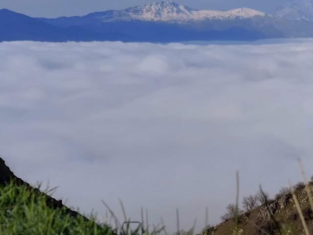 Bir mahalle sis denizinde kayboldu!