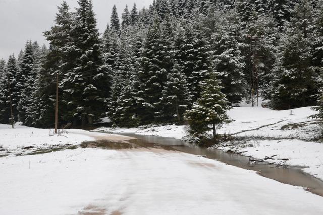 Bolu ve Karabük ün yüksek kesimlerine ilkbaharın ortasında kar yağdı 1