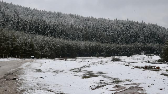 Bolu ve Karabük'ün yüksek kesimlerine ilkbaharın ortasında kar yağdı