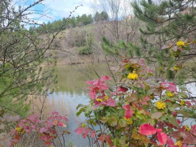 K&uuml;tahya&rsquo;da saklı cennet! İlkbaharla ortaya &ccedil;ıktı