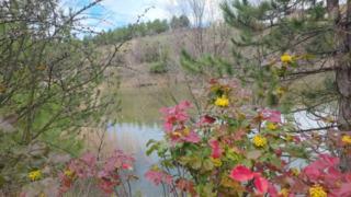 Kütahya’da saklı cennet! İlkbaharla ortaya çıktı, kartpostalları aratmıyor