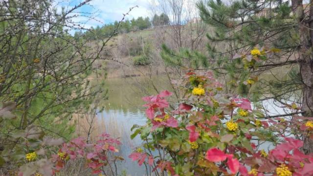 Kütahya’da saklı cennet! İlkbaharla ortaya çıktı, kartpostalları aratmıyor