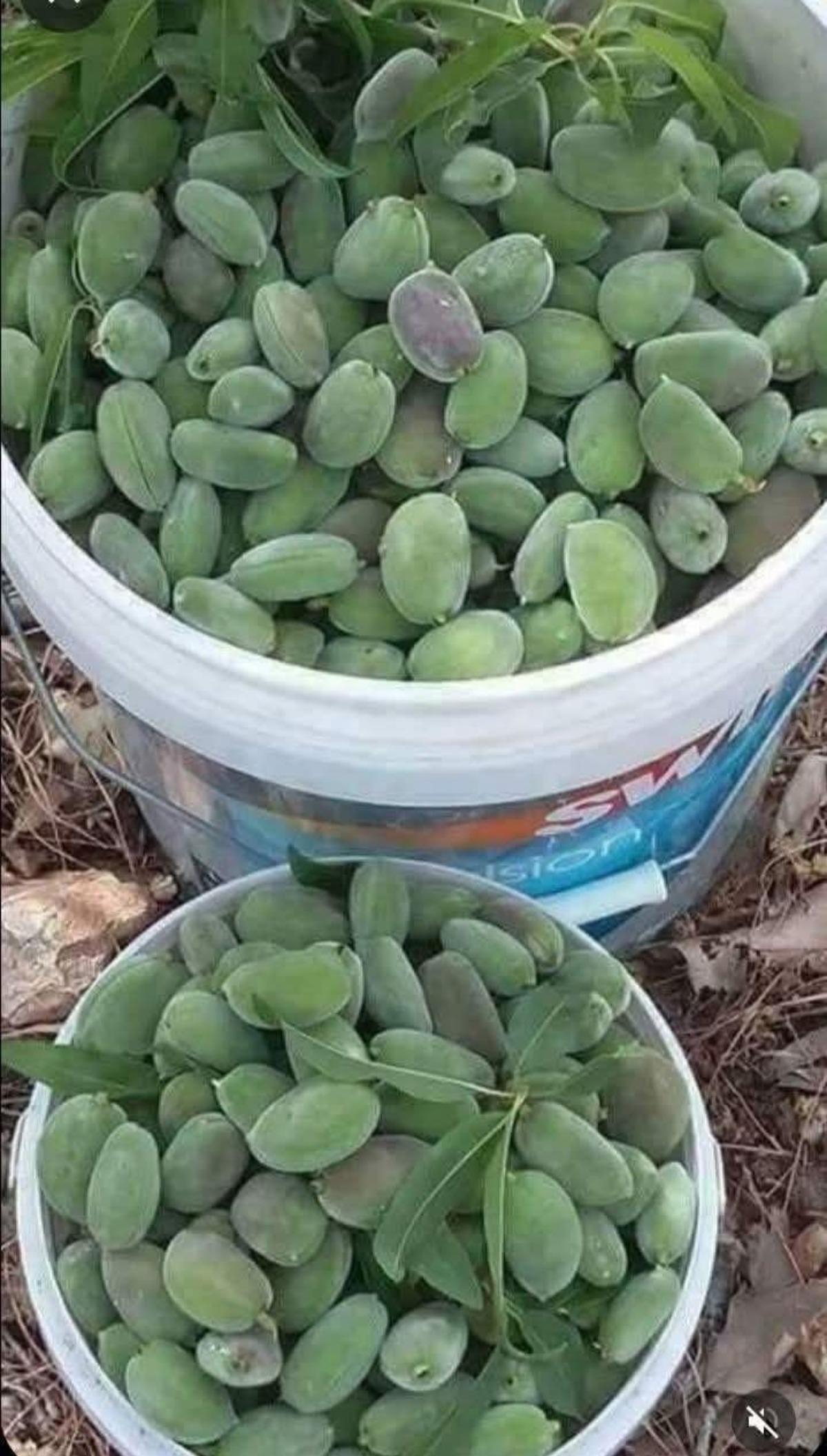 Tezgahlara d&uuml;şt&uuml;, yok satıyor! Kilosu 130 lira: V&uuml;cuda etkisi şaşırtıyor 3