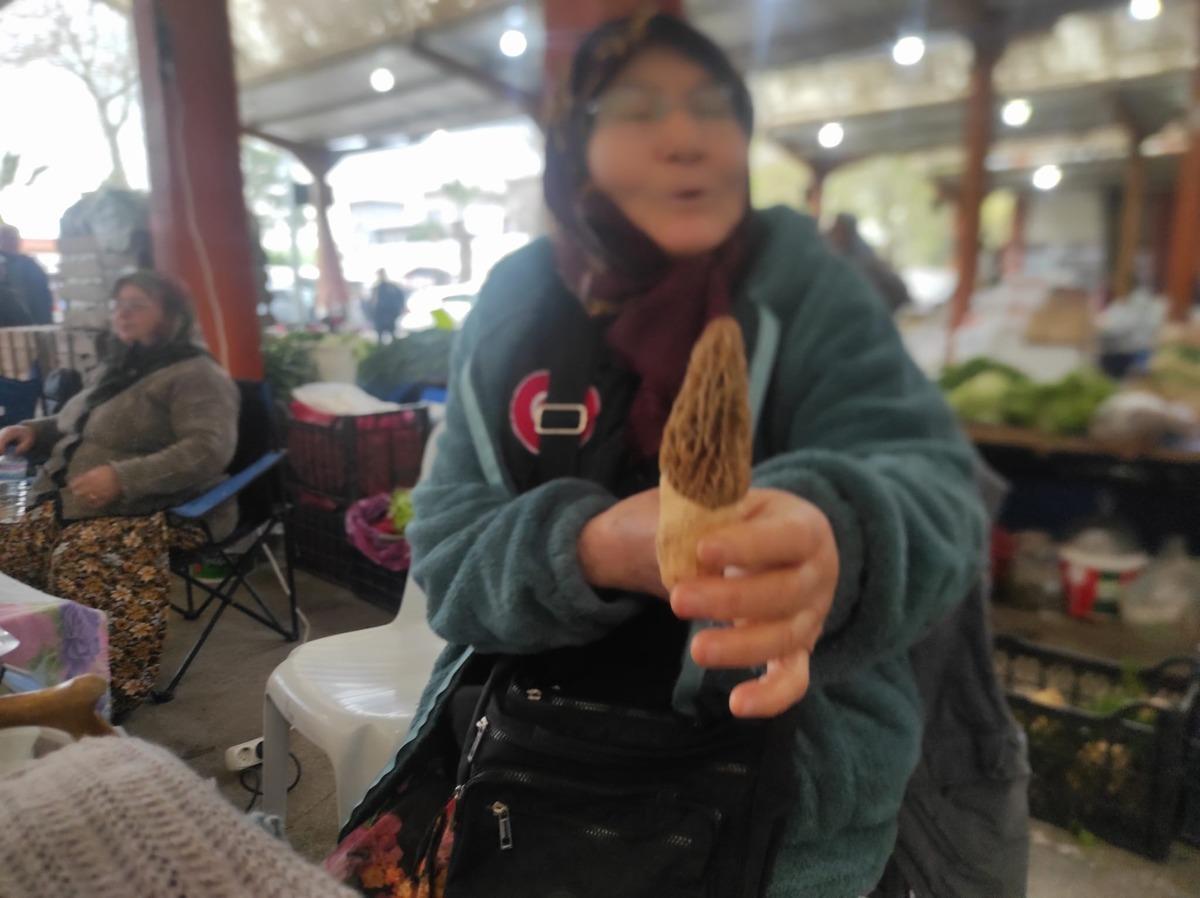 Kilosu 1000 TL: Gelir kapısı oldu, toplayıp satıyorlar  1