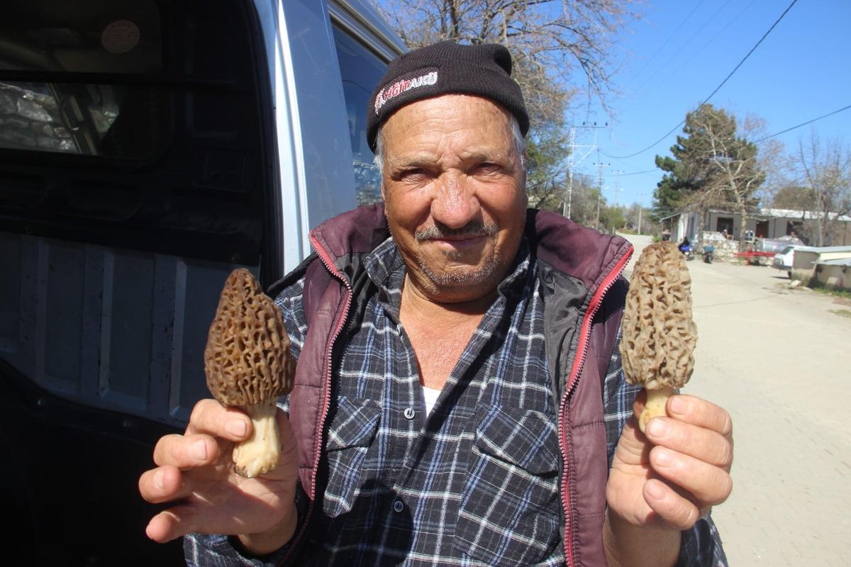 Kilosu 1000 TL: Gelir kapısı oldu, toplayıp satıyorlar  2