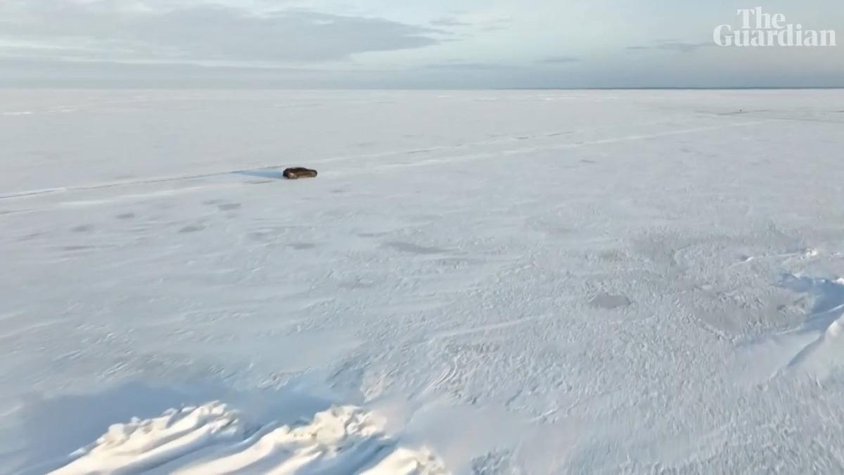 Bu yolda emniyet kemeri takmak yasak! Sebebi duyanları şaşırtıyor 3