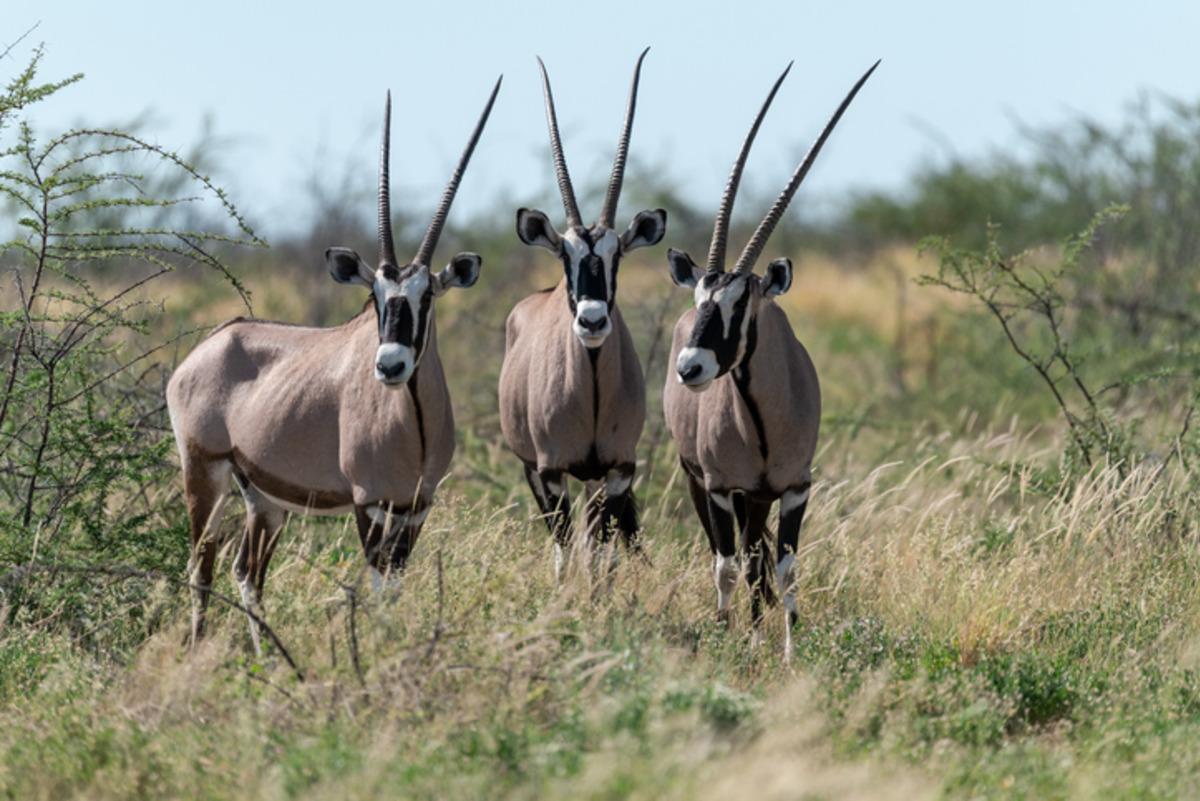 Evini sattı, 34 ton tuz aldı! Herkes deli dedi, şimdi servet kazanıyor 2
