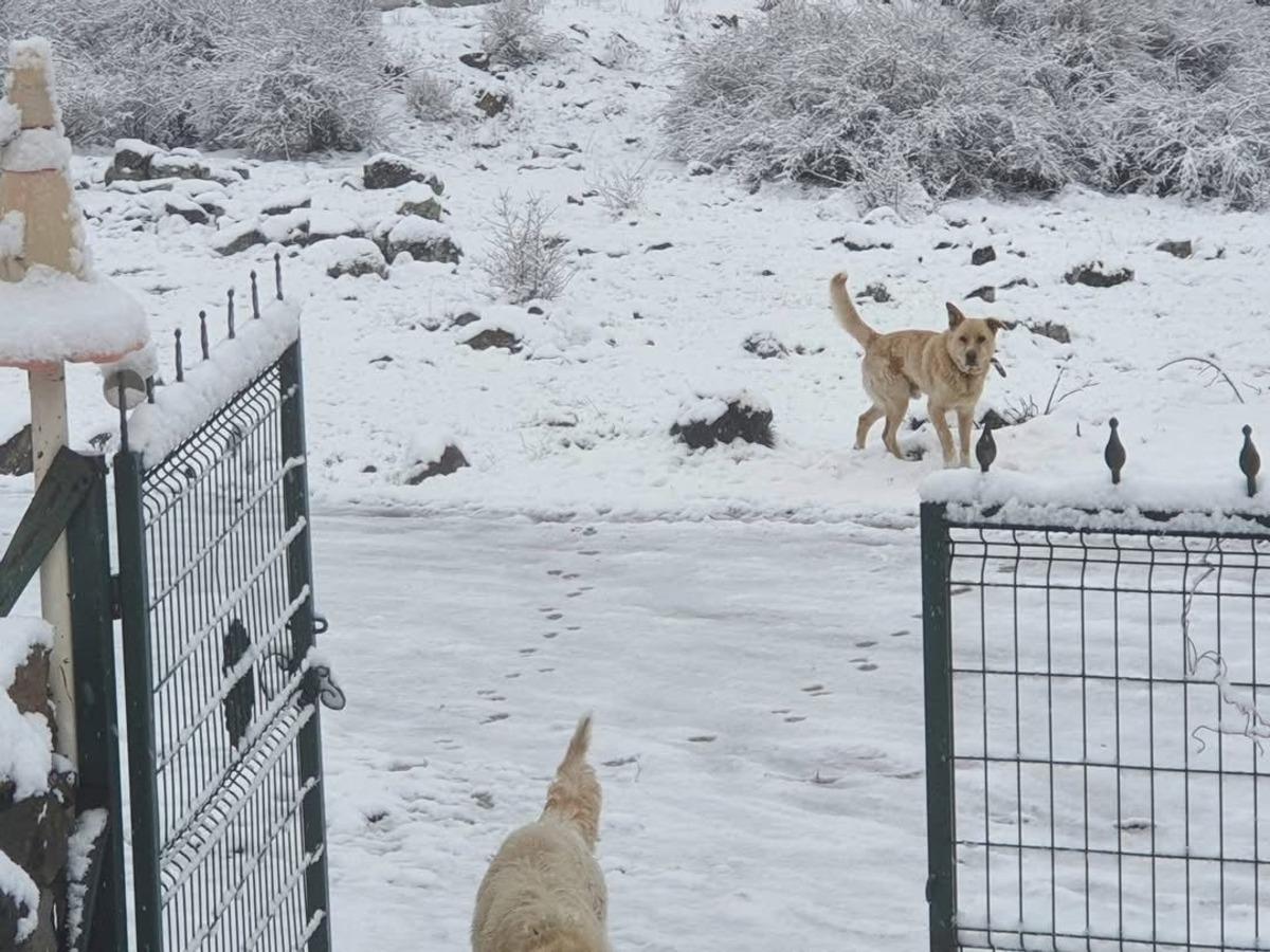 Nisan ayında kar s&uuml;rprizi! Bir&ccedil;ok ilimiz beyaza b&uuml;r&uuml;nd&uuml;: İşte yurttan kartpostallık g&ouml;r&uuml;nt&uuml;ler! 1
