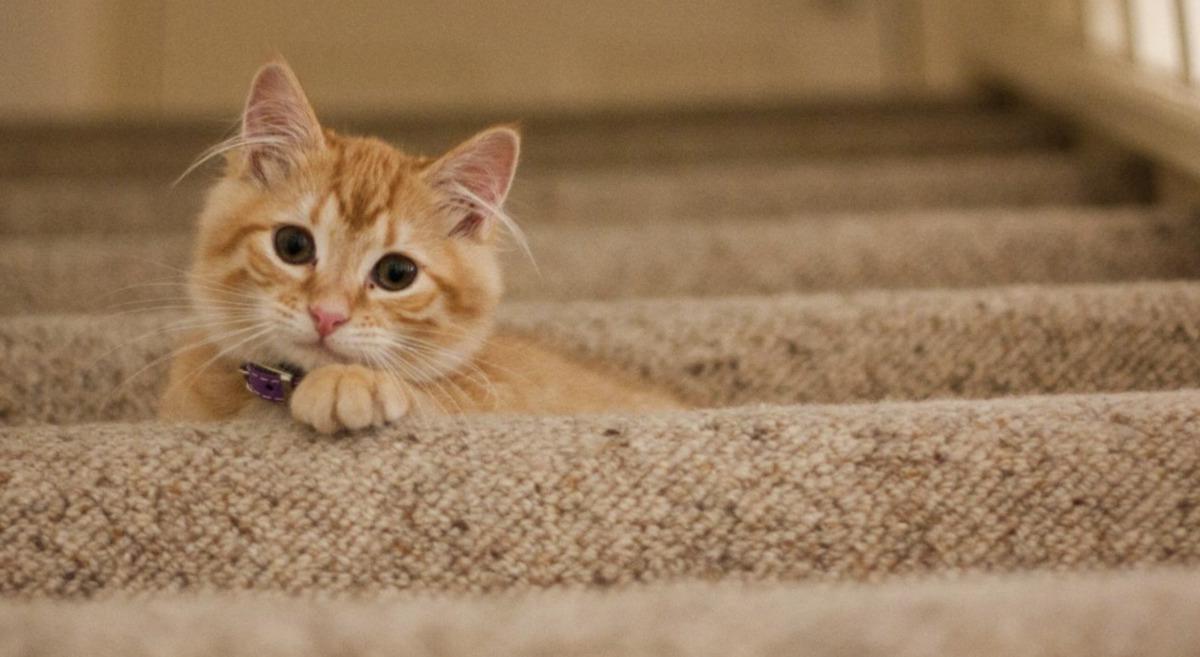 "Bunu daha &ouml;nce neden d&uuml;ş&uuml;nmedim" dedirtecek 10 temizlik hilesi 2