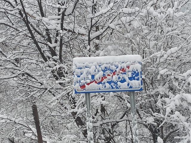 Posof ta kar yağışı nedeniyle yollar kapandı 4