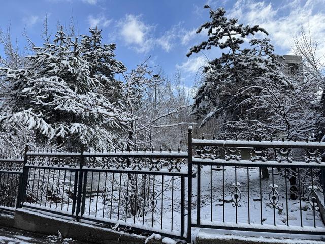 Erzurum, Ağrı ve Ardahan da kar etkisini s&uuml;rd&uuml;r&uuml;yor 4