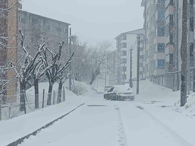 Bitlis nisan ayında yeniden beyaza büründü 5