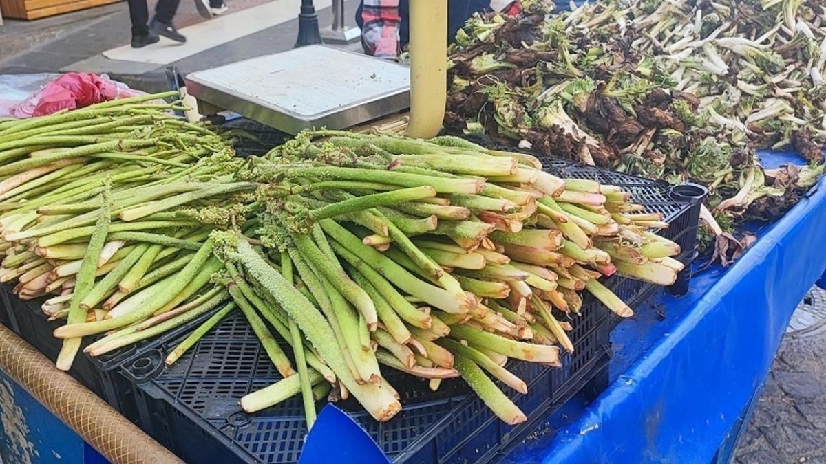 Toplayıp satan para kazanıyor, yiyen şifa buluyor! Bu &uuml;r&uuml;n kapış kapış gidiyor 3