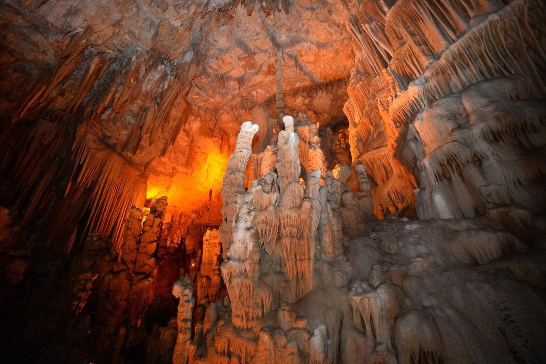 Kirpinin peşinden giden &ccedil;oban keşfetti! G&ouml;renler hayran kalıyor