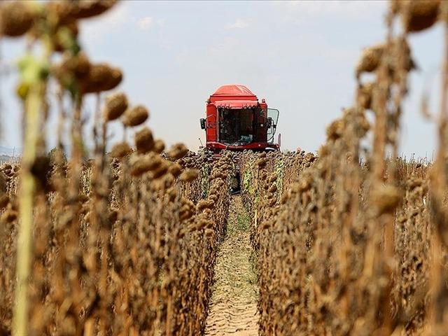 Edirne'nin ay&ccedil;i&ccedil;eği &uuml;retiminde tekrar zirvede yer alması hedefleniyor