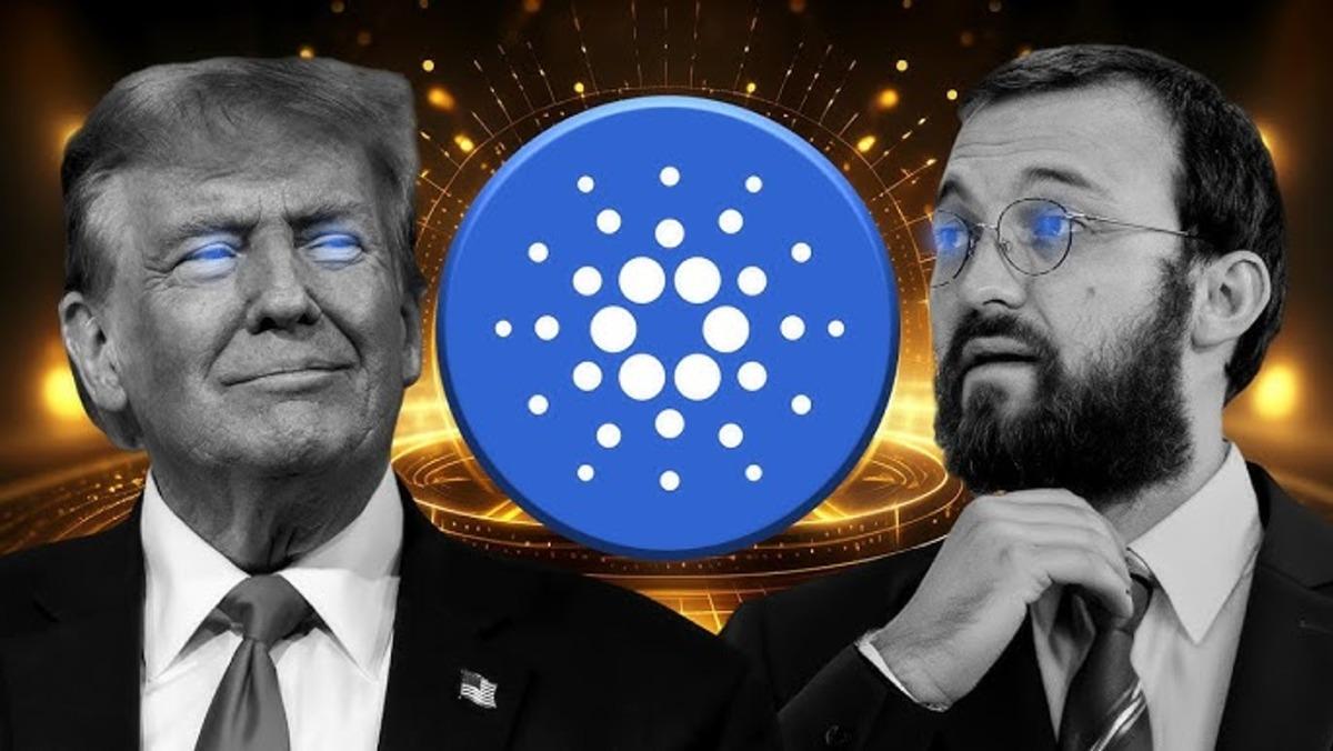Cardano Y&uuml;zde 129.000 Kazandırdı, Y&uuml;zde 90 Eridi: D&ouml;ng&uuml; S&uuml;r&uuml;yor, G&ouml;rsel 5