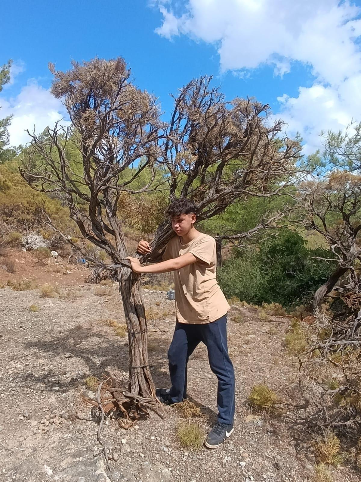 Toplanıp ekonomiye kazandırılıyor: O risk de azalıyor 1