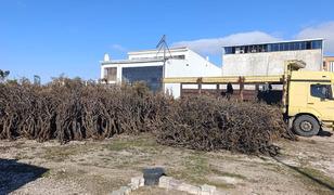 Toplanıp ekonomiye kazandırılıyor: O risk de azalıyor