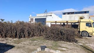 Son dakika: Toplanıp ekonomiye kazandırılıyor: O risk de azalıyor