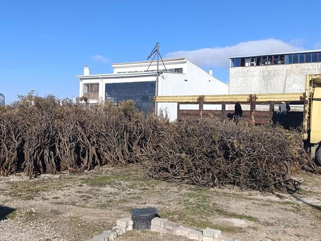 Toplanıp ekonomiye kazandırılıyor: O risk de azalıyor