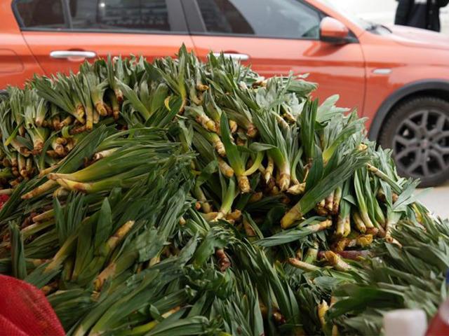 Değeri altınla yarışıyor! Kendiliğinden yetişiyor