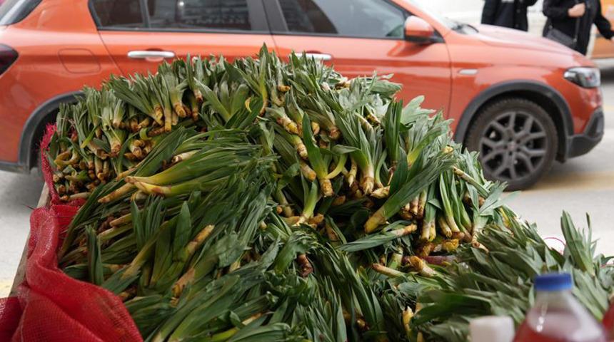 Değeri altınla yarışıyor! Kendiliğinden yetişiyor bir&ccedil;ok hastalığa şifa