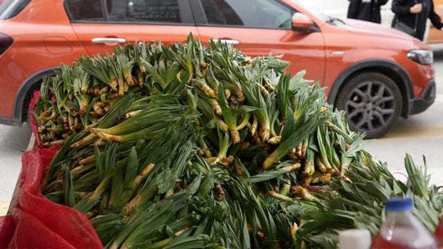 Değeri altınla yarışıyor! Kendiliğinden yetişiyor birçok hastalığa şifa