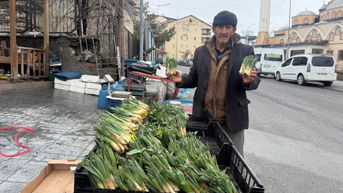 Değeri altınla yarışıyor! Kendiliğinden yetişiyor birçok hastalığa şifa 2