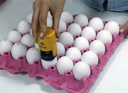 Bugün başladı! Yumurta alırken buna dikkat!