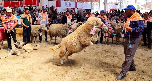 4. Teke Yöresi Tarım ve Hayvancılık Fuarı 26 Nisan’da başlıyor