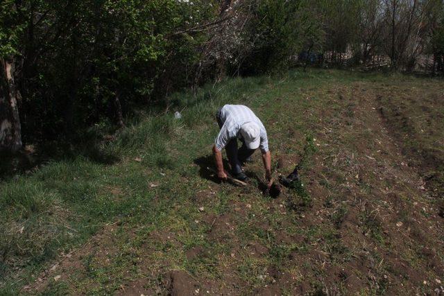 15 yıldır doğadaki çöpleri toplayıp satıyor, parasıyla fidan alıp dikiyor