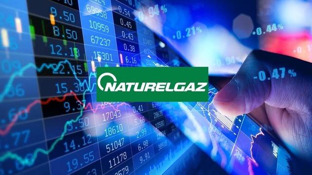 NTGAZ 811,5 milyon TL'lik ihaleyi aldı