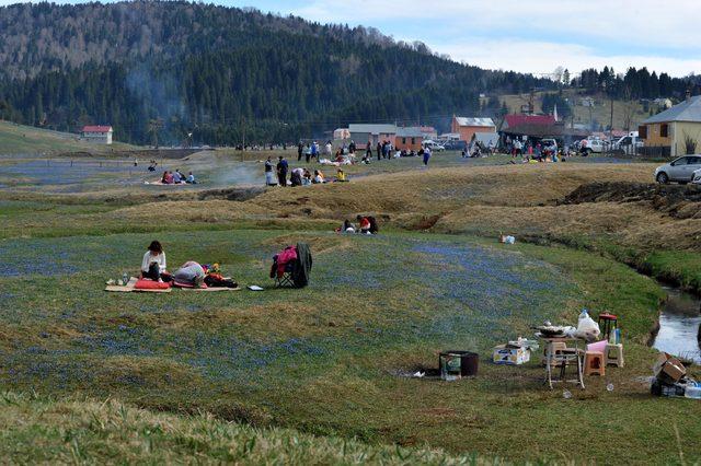 2 haftada 35 bin kişi gezdi, 'Mor Yayla’da ezilen çiçekler erken kayboldu